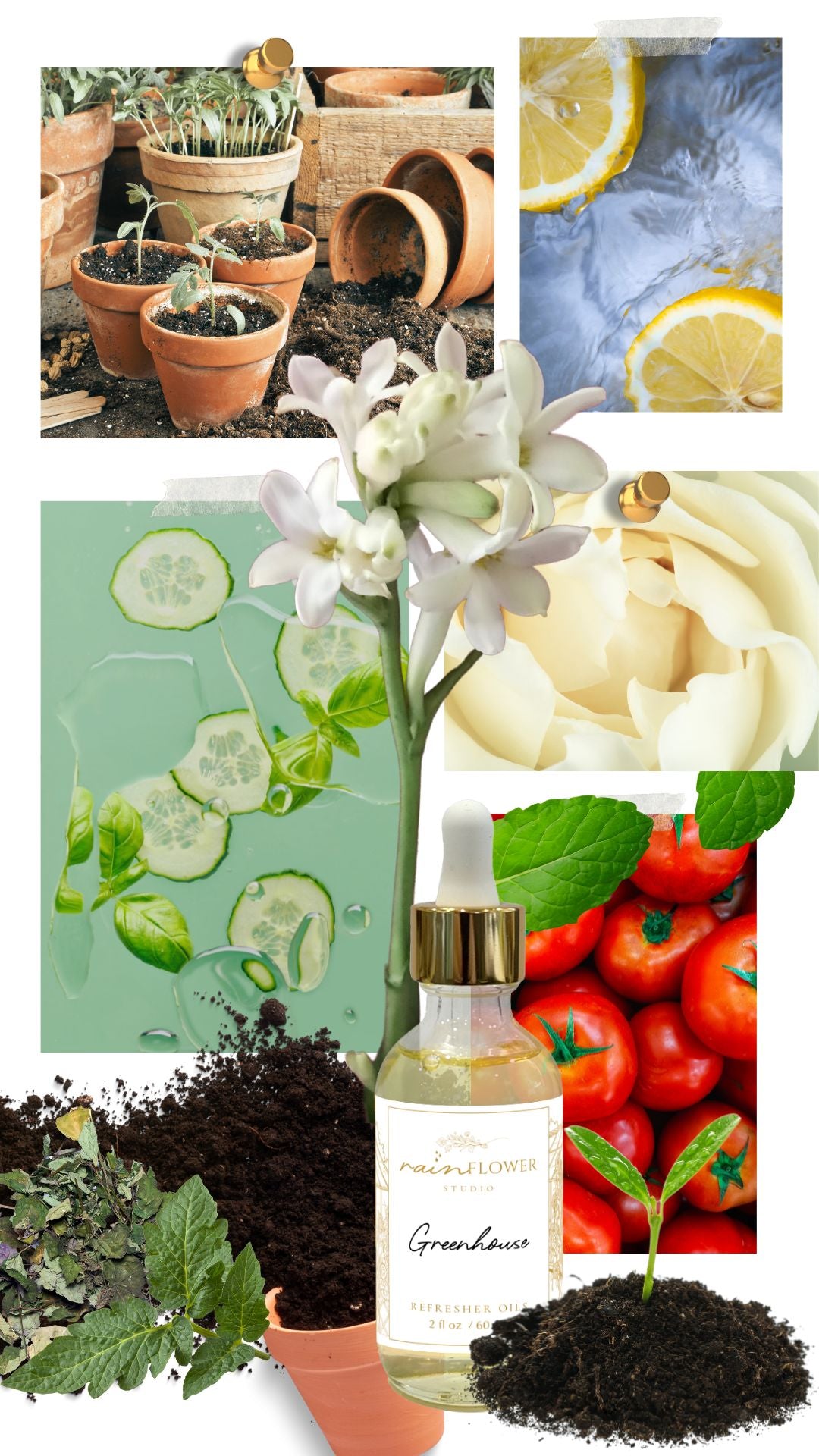 Mood board for Greenhouse Refresher Oil by Rainflower Studio