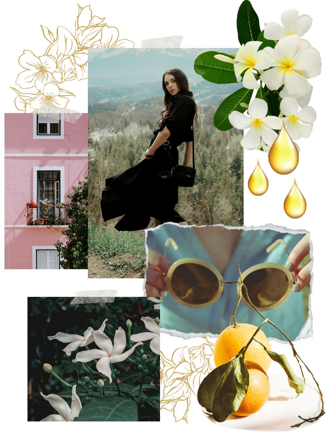Mood Board for Rainflower Jasmine Perfume