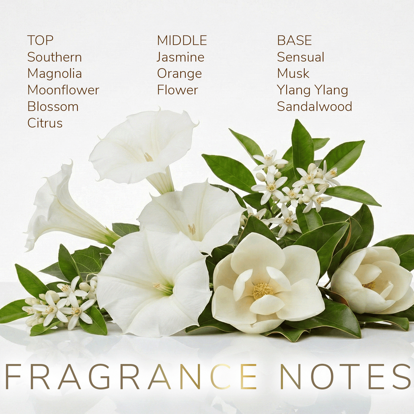 Moonflower Mama Eau de Parfum notes
