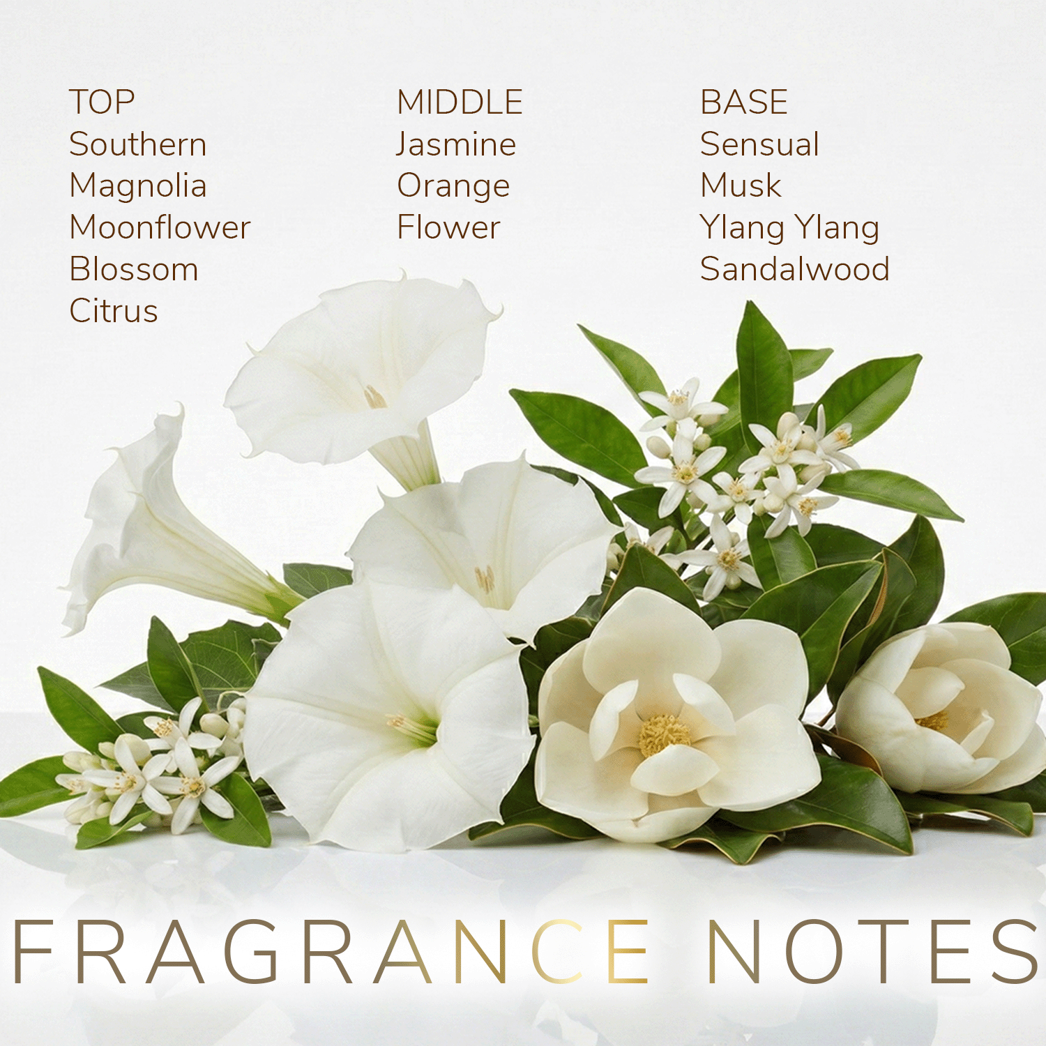 Moonflower Mama Eau de Parfum notes