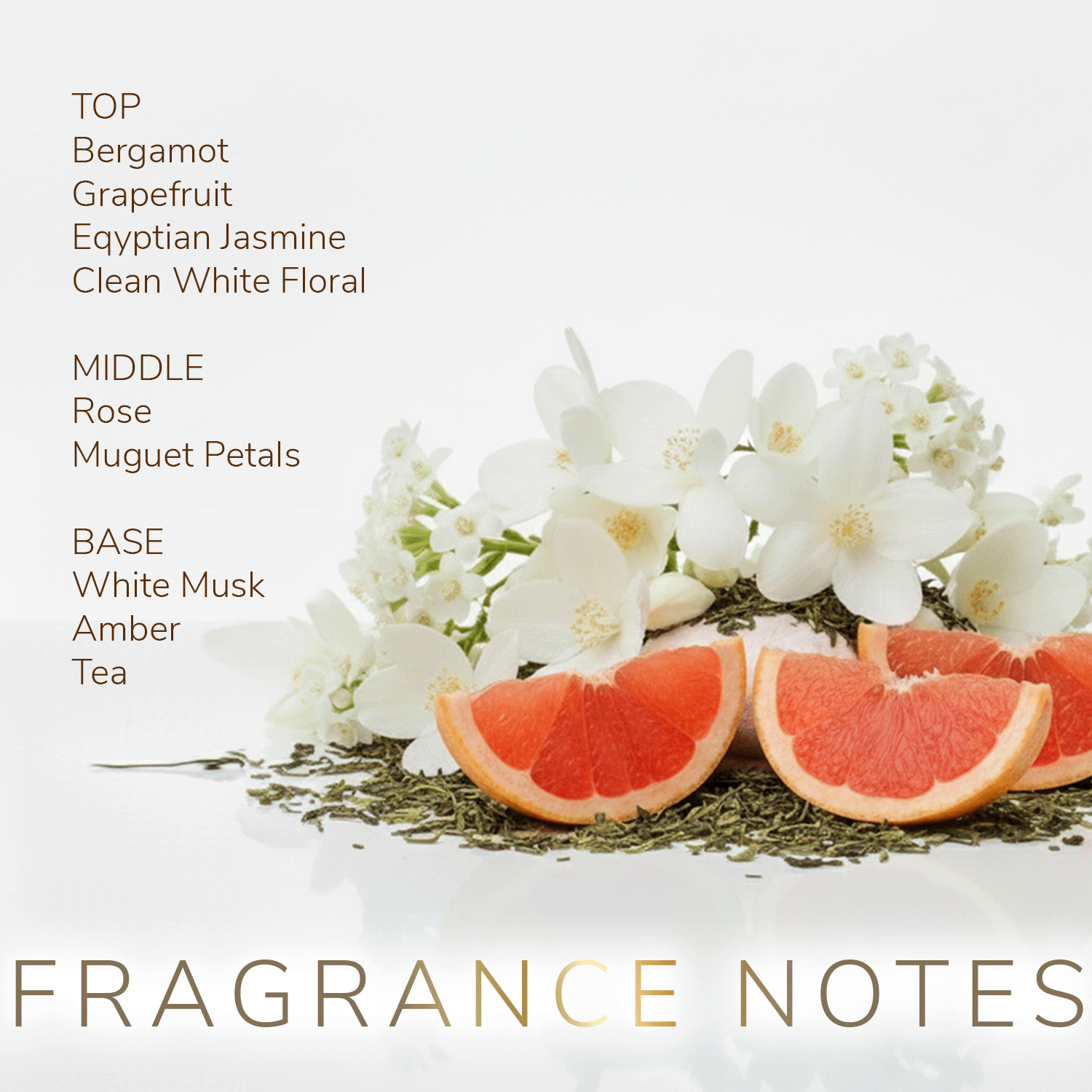 Rainflower Jasmine Eau de Parfum notes