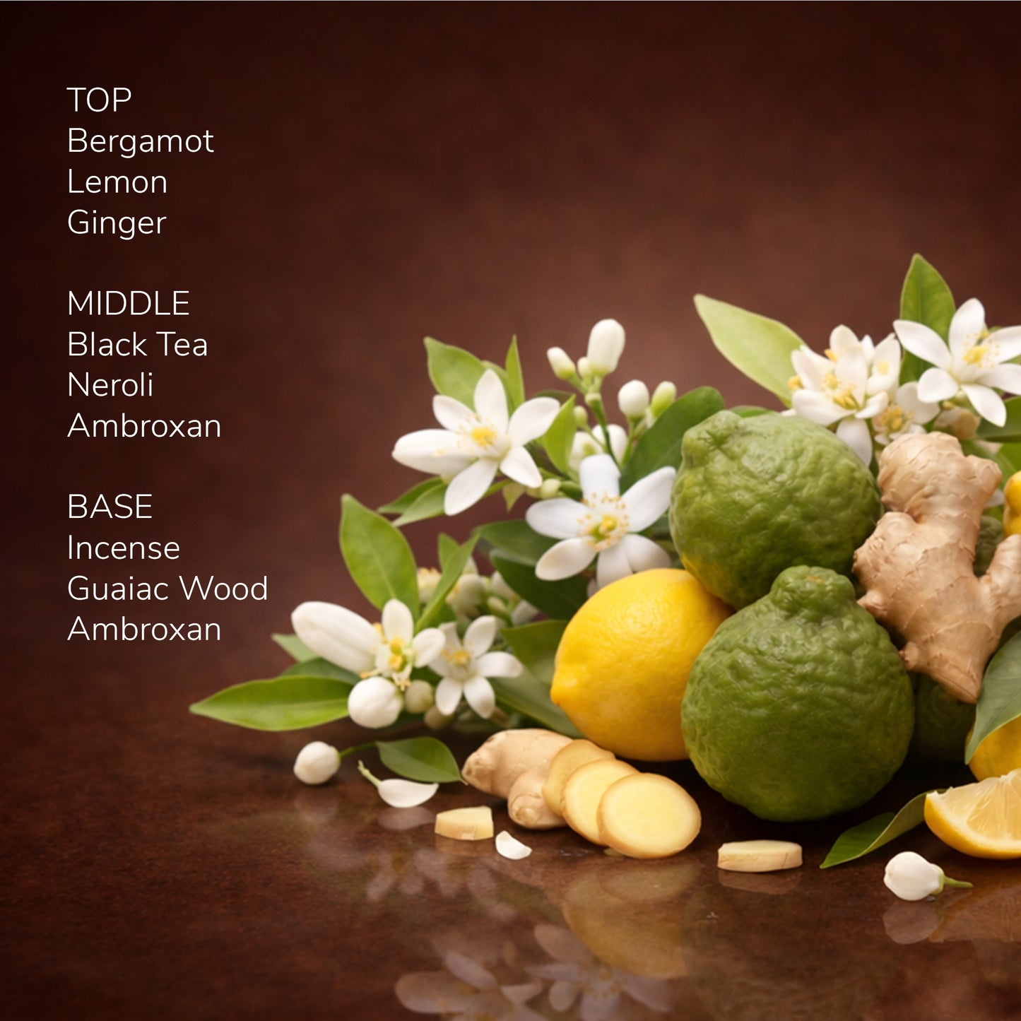 Scent Index M203 - Dreamsmith
Perfume