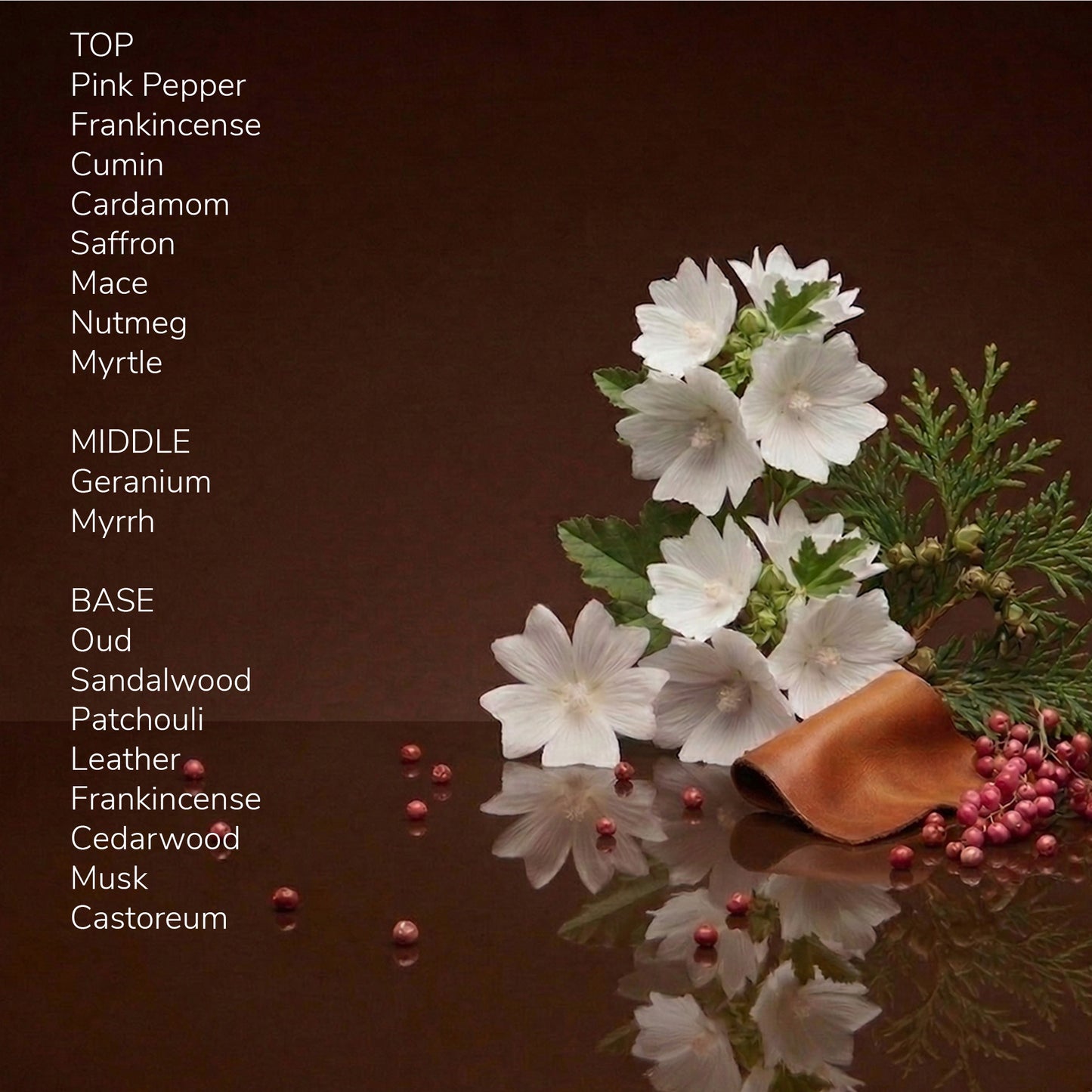 Scent Index M211 - Ember & Oud
Perfume
