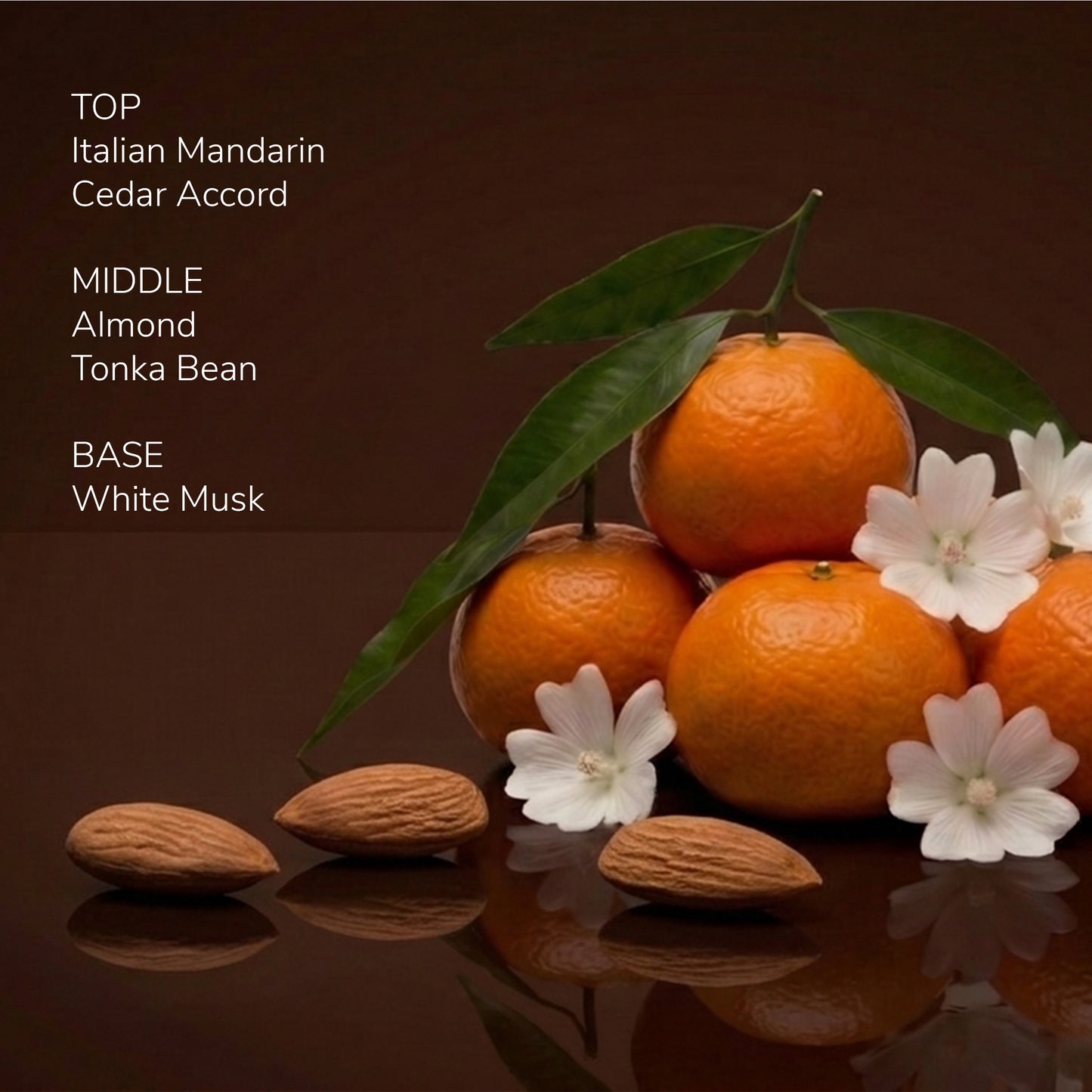 Scent Index M205 - Jetstream
Perfume