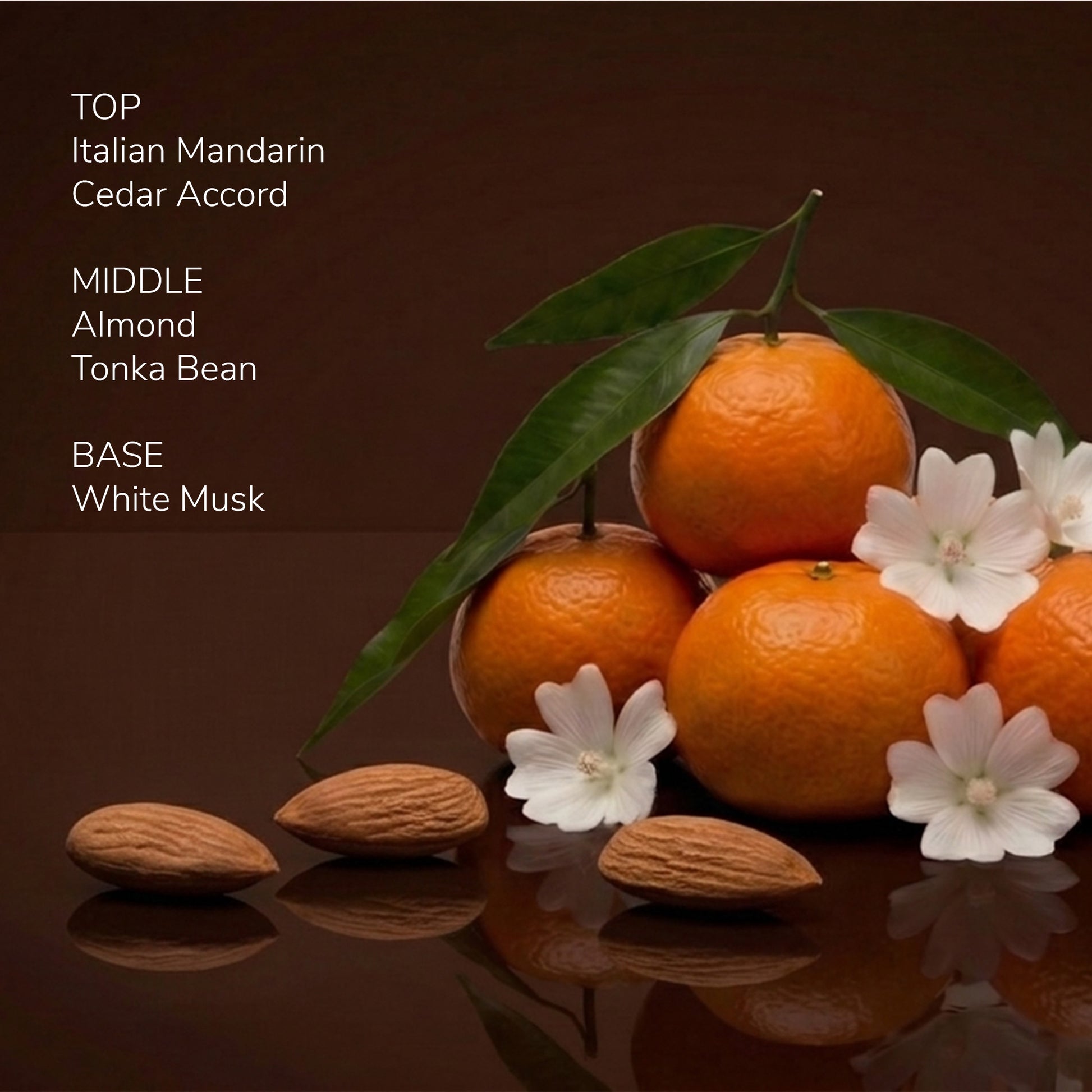 Scent Index M205 - Jetstream
Perfume