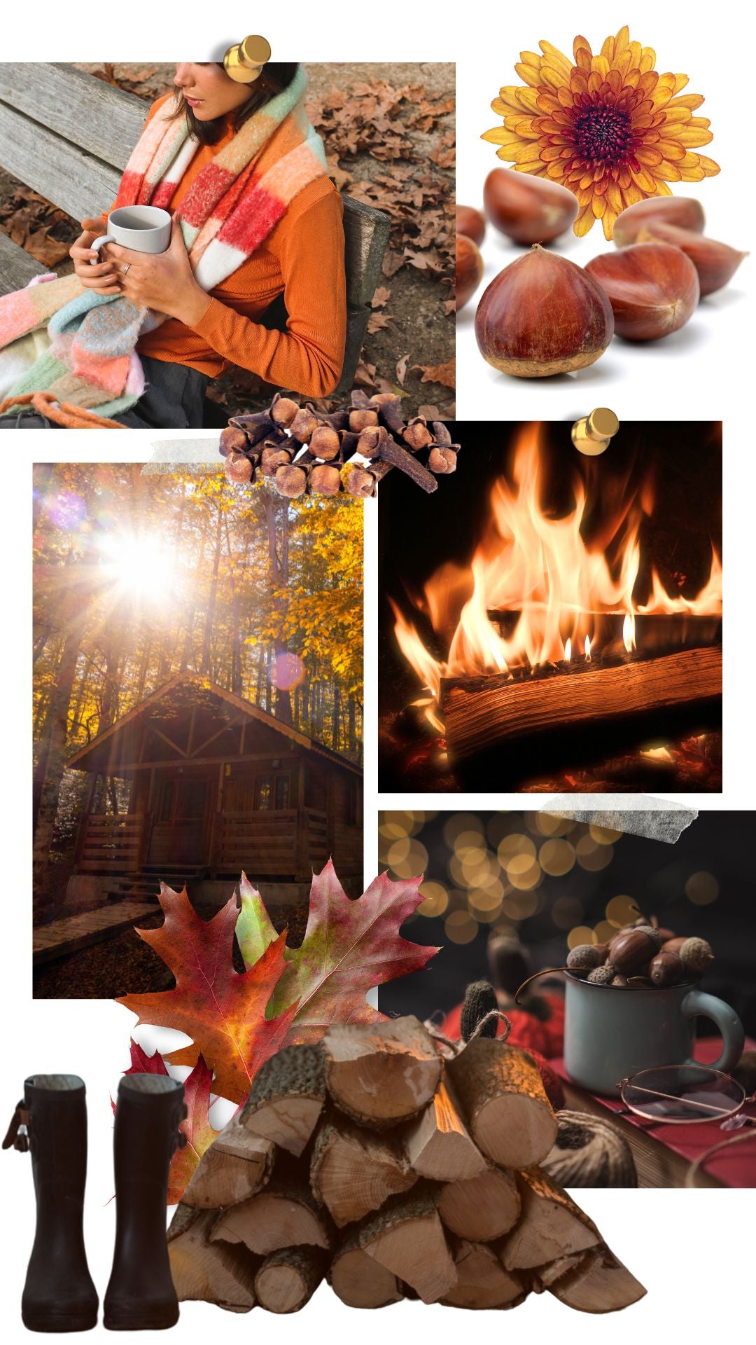 Autumn mood board for Chestnut Hearth Refresher Oil by Rainflower Studio