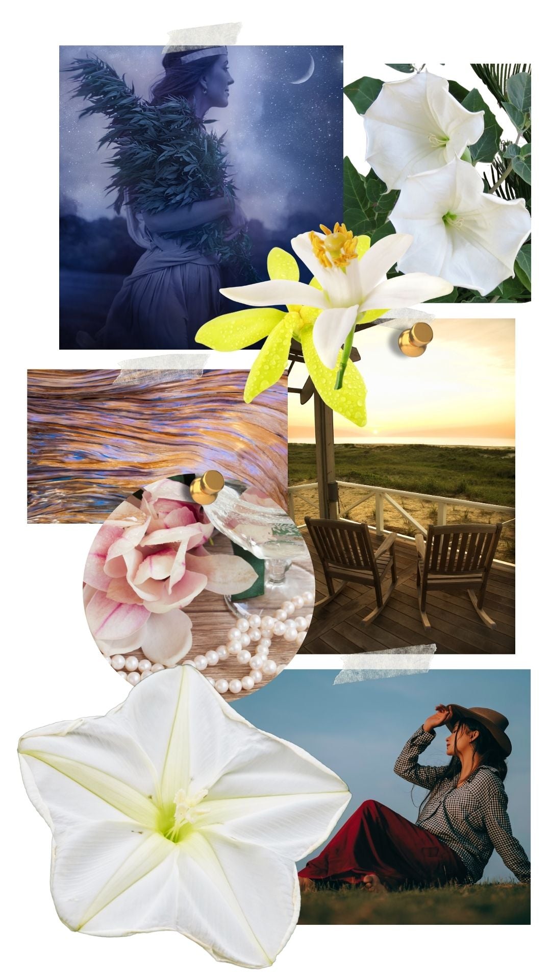 Mood Board for Moonflower Mama Perfume by Rainflower Studio