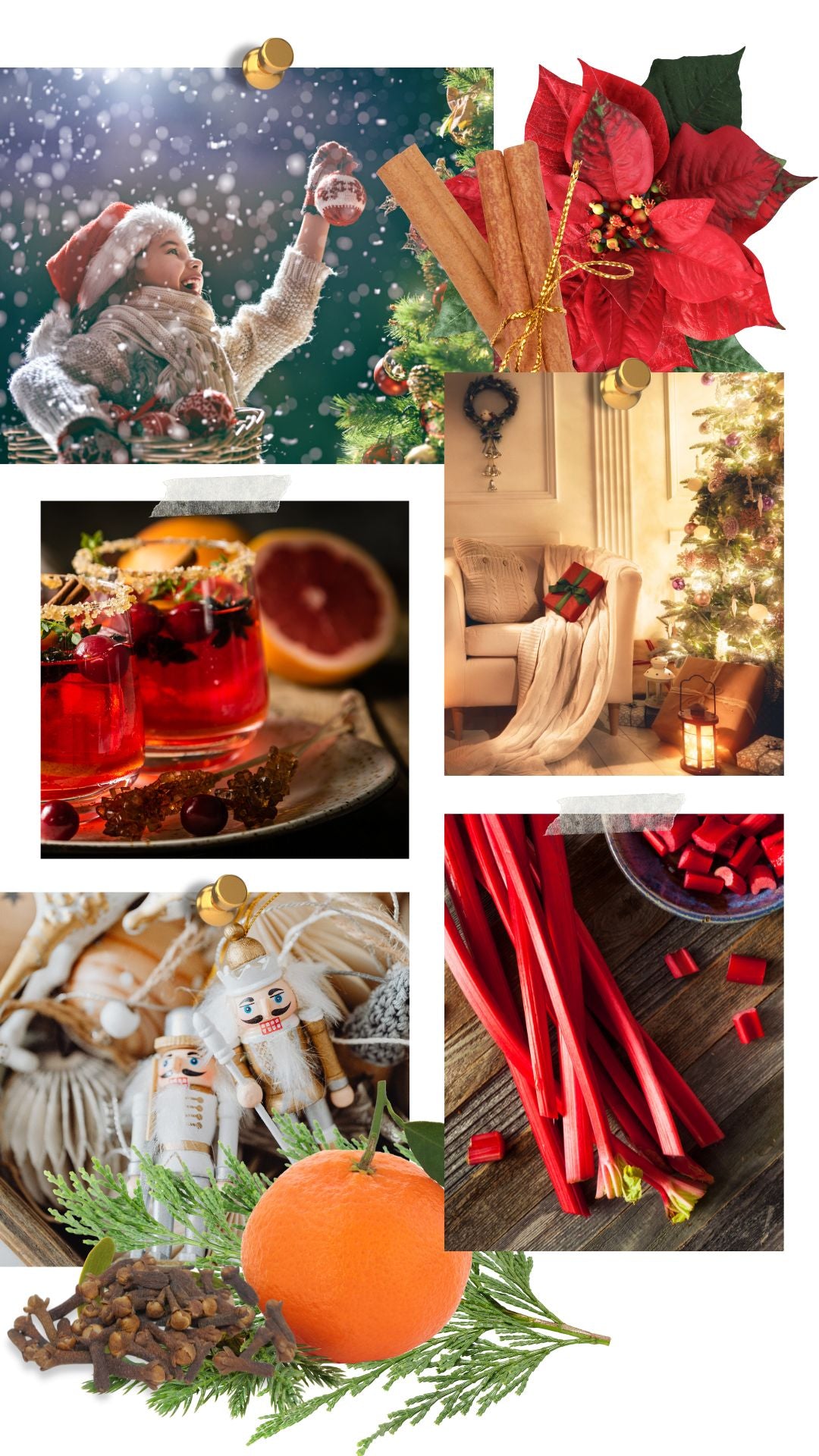 Mood Board for Yuletide Citrus Refresher Oil by Rainflower Studio